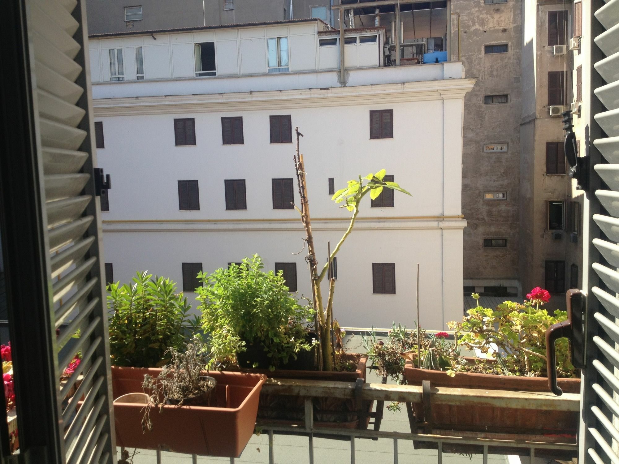 Roma Termini Inn Dış mekan fotoğraf